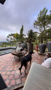 Area externa urubici